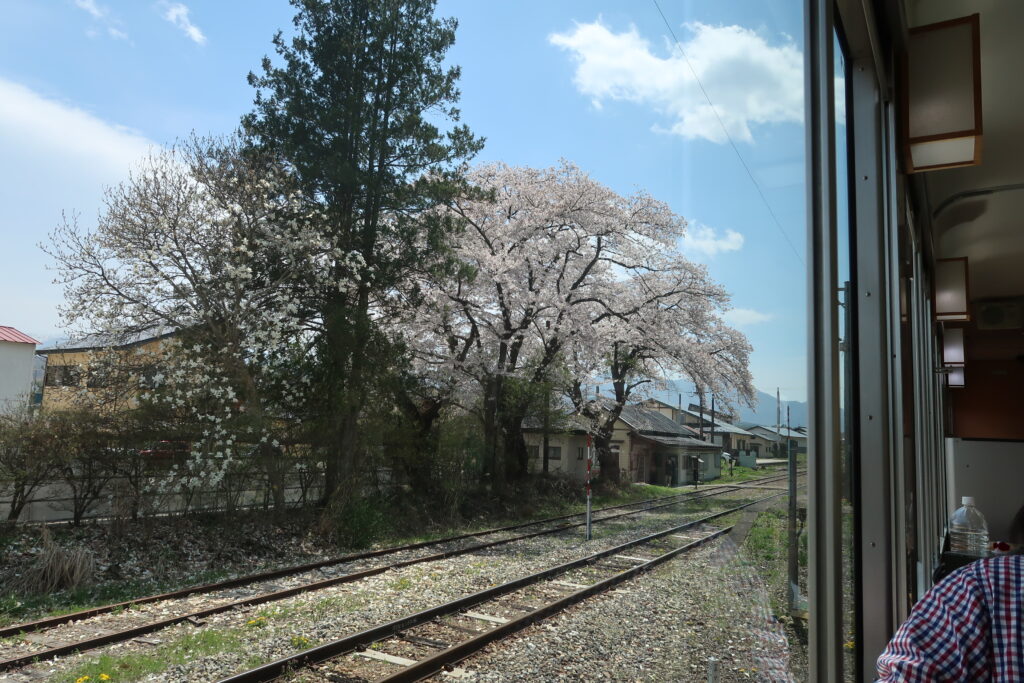 会津の桜を車窓から！会津鉄道 お座トロ展望列車に乗ってみた
